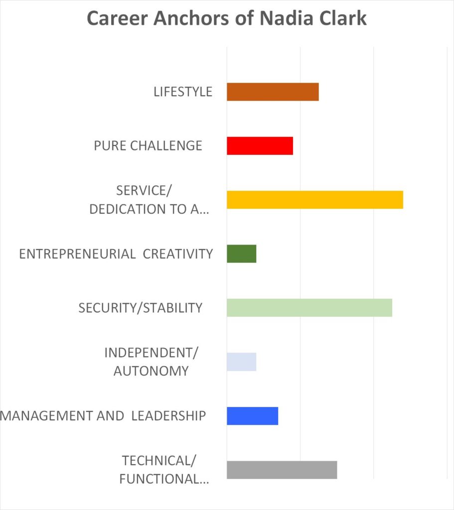 Career Plan - Career Anchors