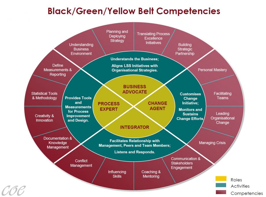 Set of Belt Competencies